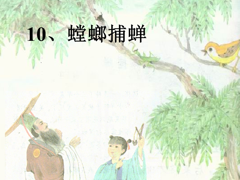 10_螳螂捕蝉_ppt.ppt_第1页