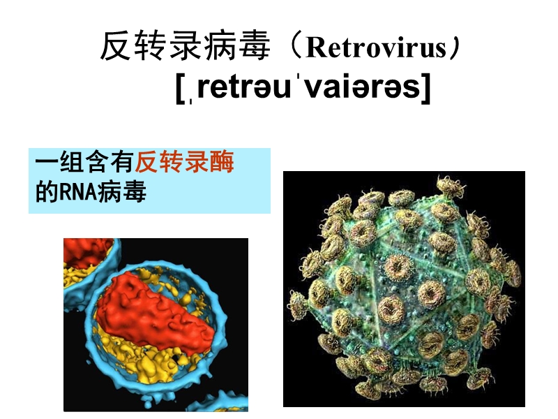 9第九章 疾病与人类健康.ppt_第3页