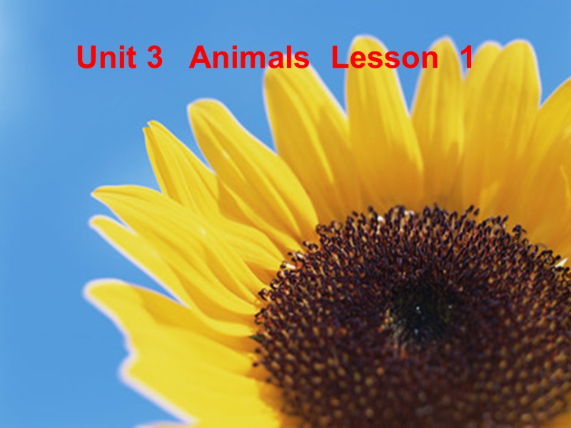 （人教新起点标准版）一年级英语上册课件 unit3 lesson1.ppt_第1页