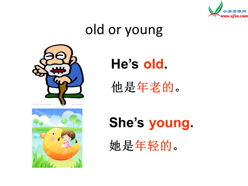 （冀教版三起）三年级英语上册 unit 4 family lesson 22 how old are you课件.ppt_第2页