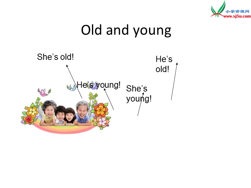 （冀教版三起）三年级英语上册 unit 4 family lesson 22 how old are you课件.ppt_第3页