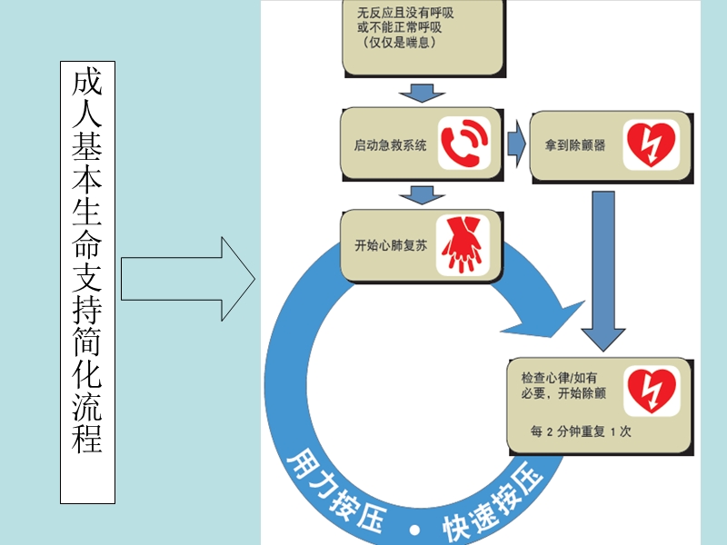 2012心肺复苏培训课件(教).ppt_第3页