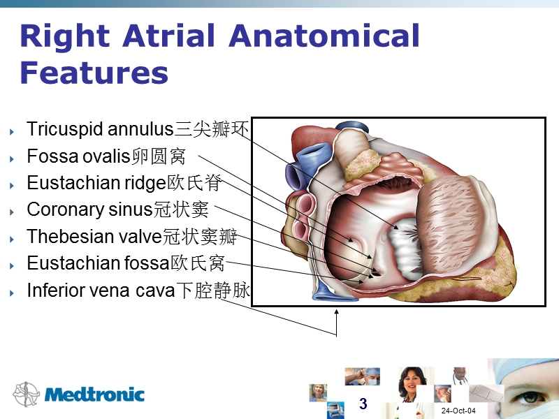 06-静脉造影.ppt_第3页