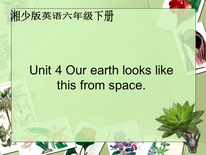 （湘少版）六年级英语下册课件 unit4.ppt_第1页