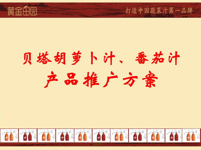 2011乌鲁木齐黄金田园饮料产品推广方案.ppt_第2页