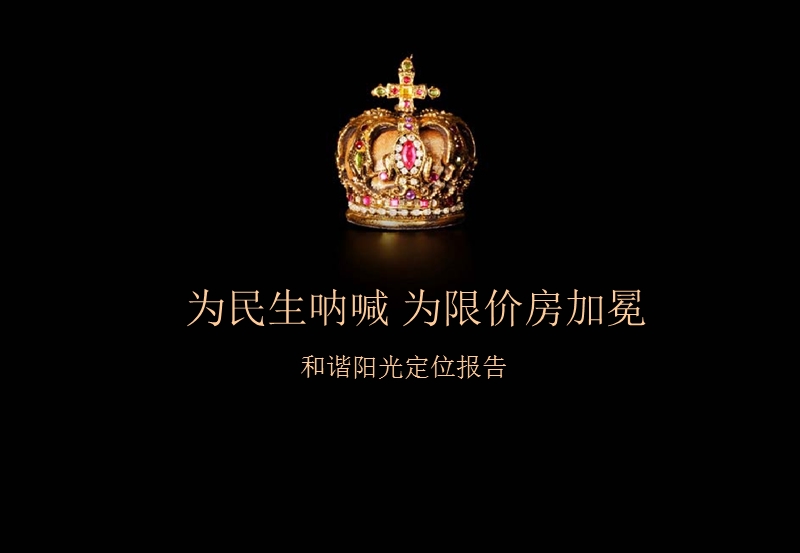 2011汉中和谐阳光限价房定位报告.ppt_第1页