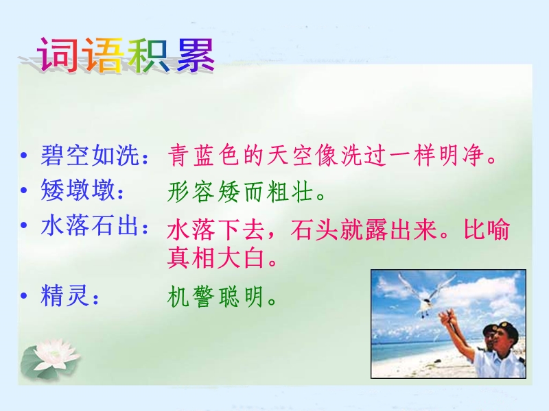 07.彩色的翅膀成品.ppt_第3页