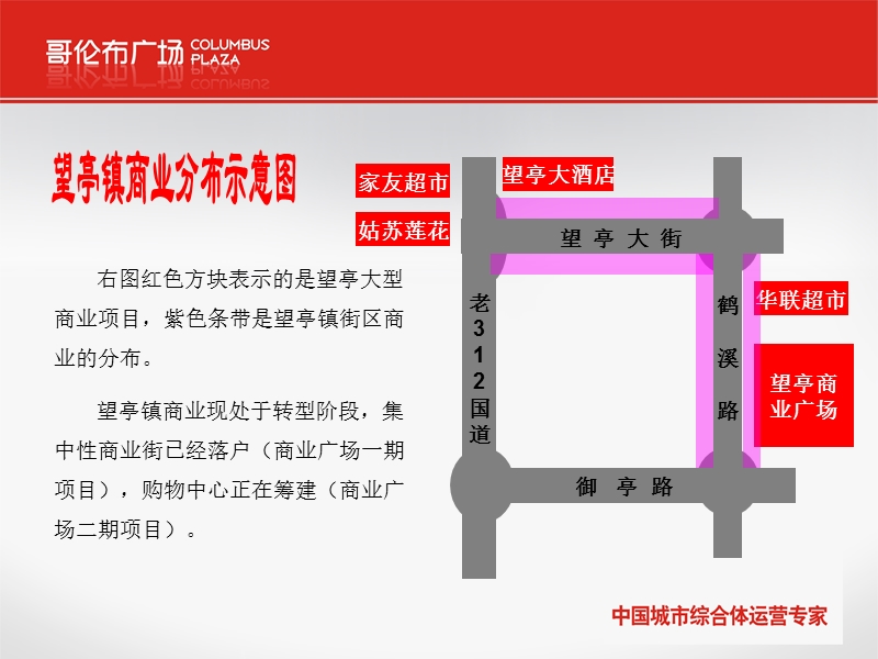 2011年江苏省苏州市望亭、东桥市场调查报告（17页）.ppt_第1页