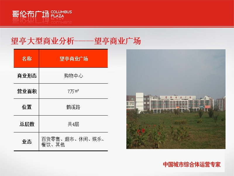 2011年江苏省苏州市望亭、东桥市场调查报告（17页）.ppt_第2页