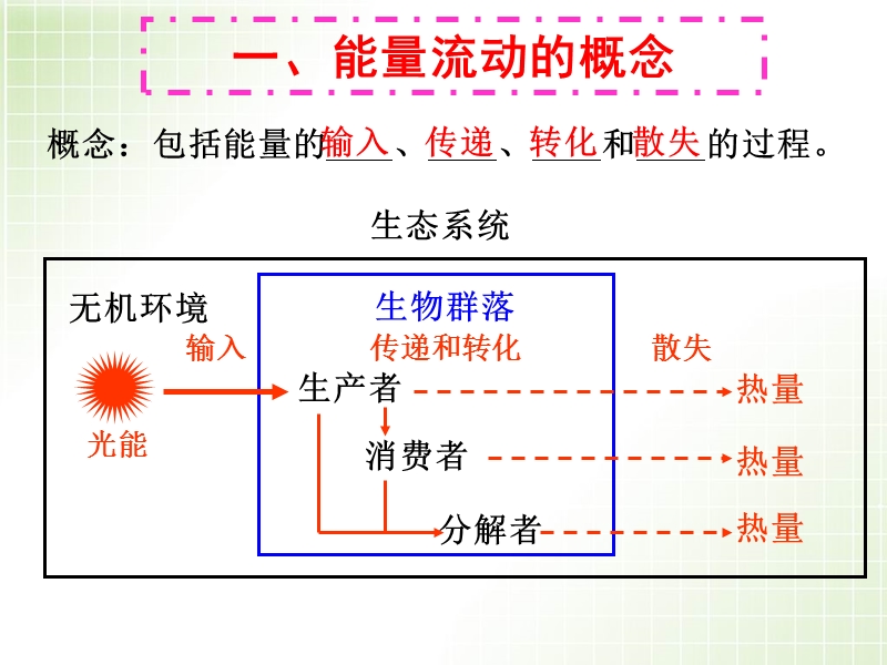 5.2生态系统的能量流.ppt_第3页