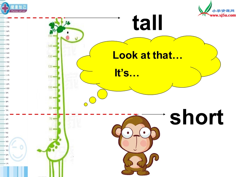 小学英语三年级下册课件：unit3 at the zoo第二课时（人教pep版）.ppt_第2页