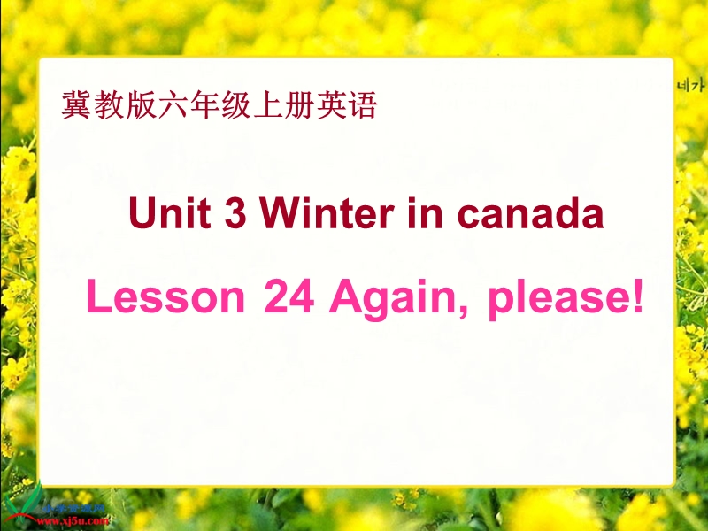 （冀教版）六年级英语上册课件 unit 3 lesson 24(2).ppt_第1页