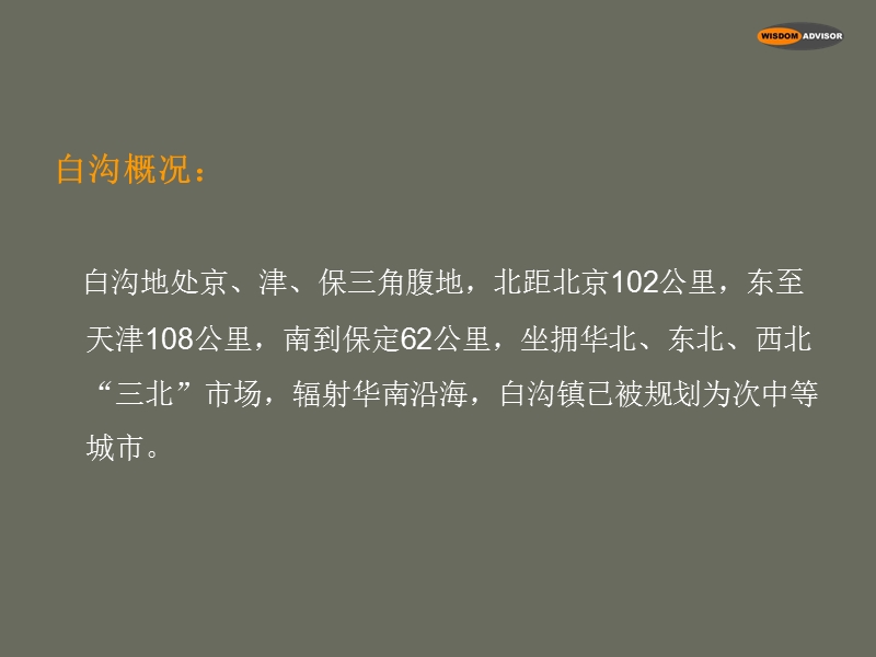 2008年10月河北白沟商业项目定位策划报告71p.ppt_第3页