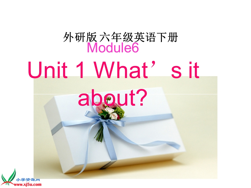 （外研版）六年级英语下册课件 module 6 unit 2(1).ppt_第1页