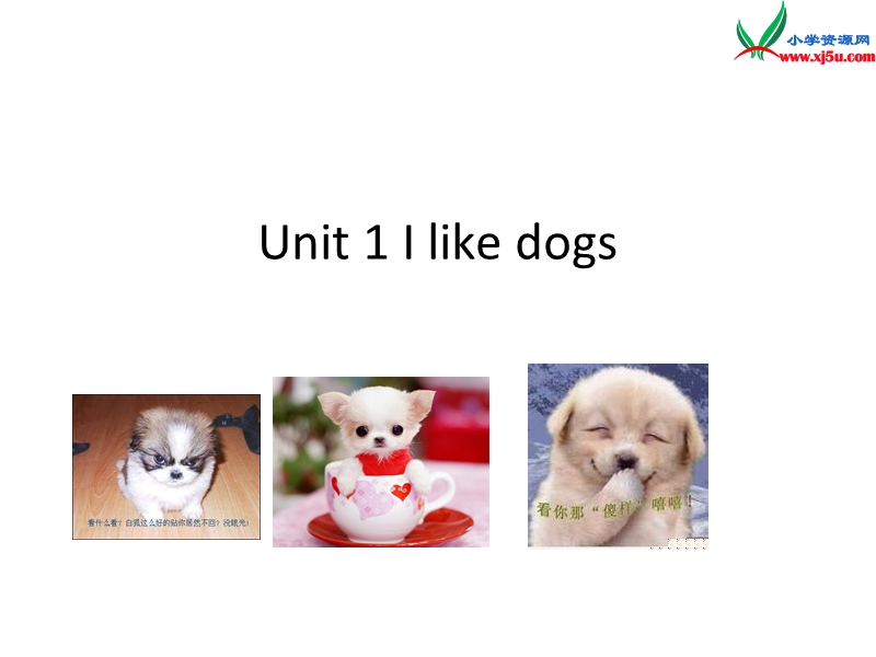 （译林版2014秋）四年级英语上册 unit1 i like dogs课件2.ppt_第1页