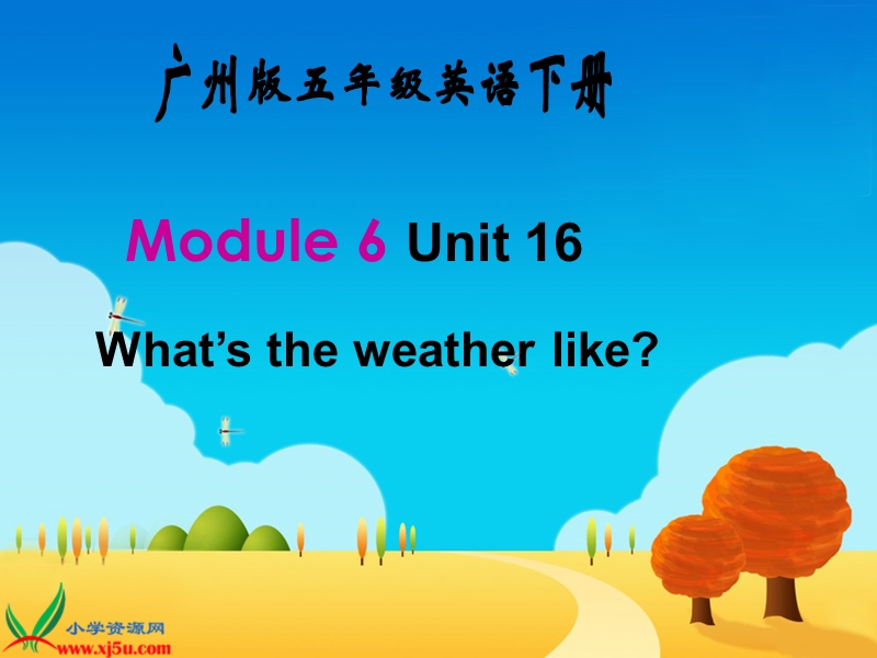 （广州版）五年级英语下册课件 module 6 unit 16(1).ppt_第1页