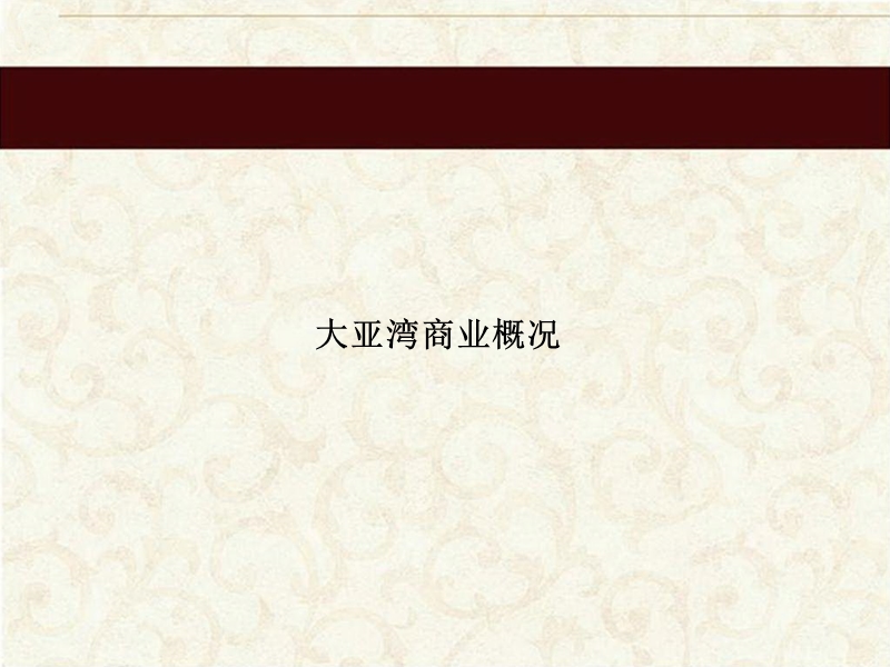 2012年惠州大亚湾地区商业调研报告(63页）.pptx_第3页