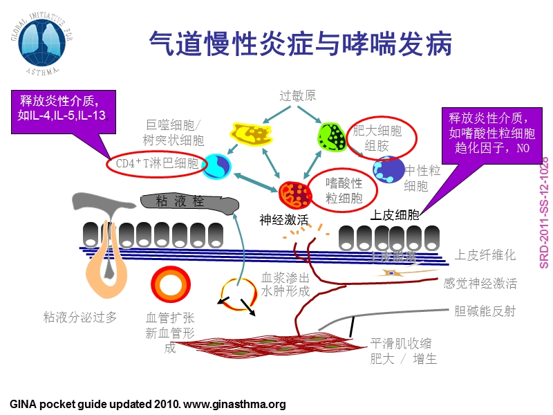 2012支气管哮喘指南解读.ppt_第3页