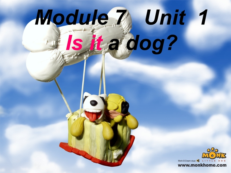 外研版（一起）标准一年级英语上册课件 unit1 is it a dog(1).ppt_第1页