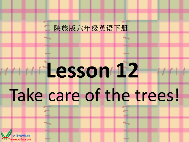 （陕旅版）六年级英语下册课件 lesson 12(1).ppt_第1页