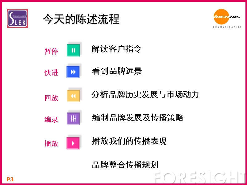 舒蕾洗发水全线重新上市之品牌与传播规划.ppt_第3页