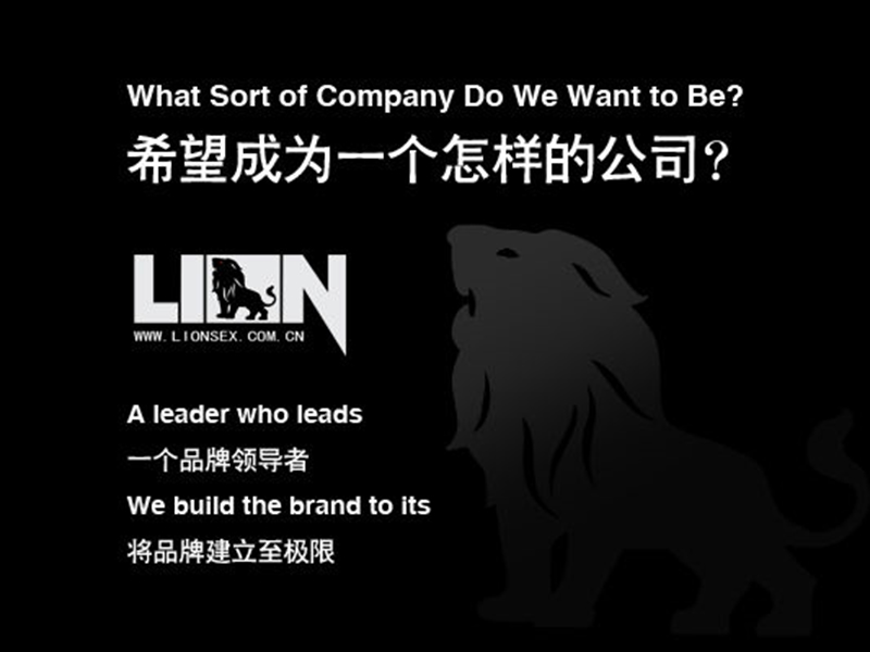 lion男士内衣品牌推广方案.ppt_第1页