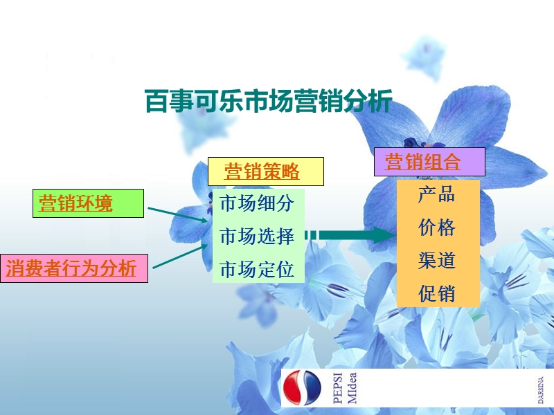 北京工商大学_百事可乐市场营销分析.ppt_第3页