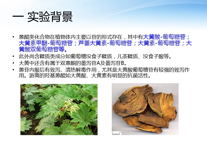 大黄中游离蒽醌的提取和含量测定.ppt_第2页