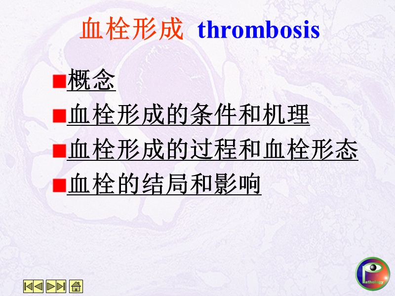 血栓形成.ppt_第1页