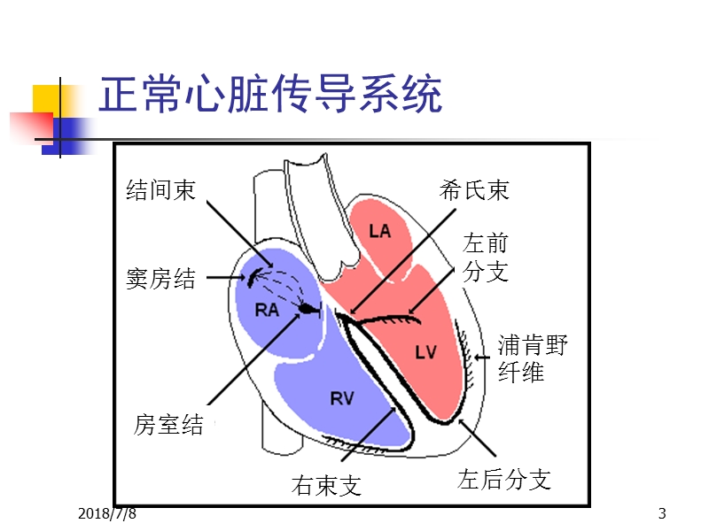 危2012北京大学人民医院 急诊重症心律失常处理.ppt_第3页