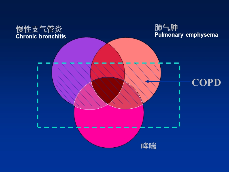 慢阻肺的内科治疗.ppt_第3页