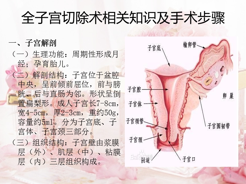 经腹全子宫切除术相关知识及手术步骤.pptx_第3页