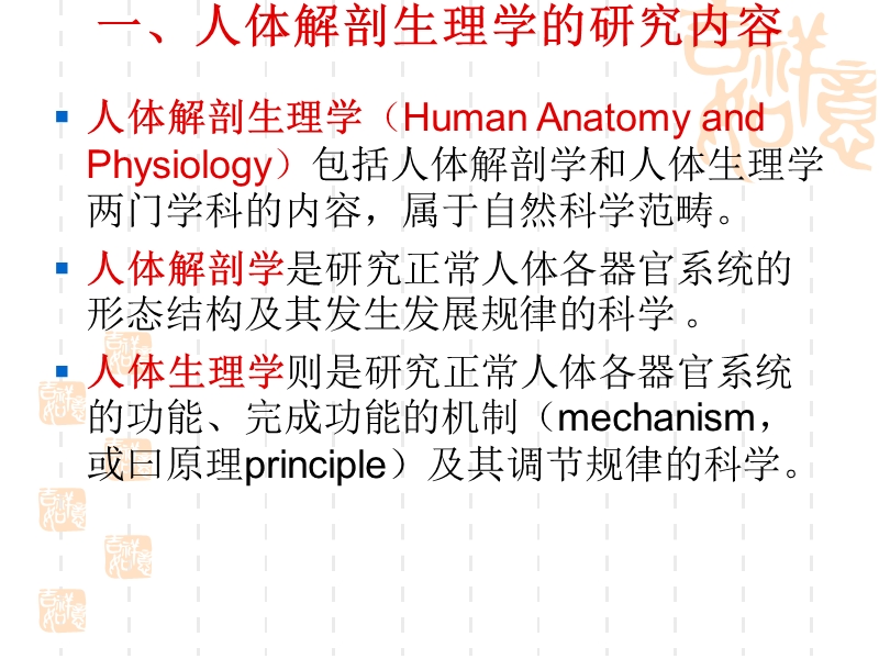 解剖生理绪论.ppt_第3页