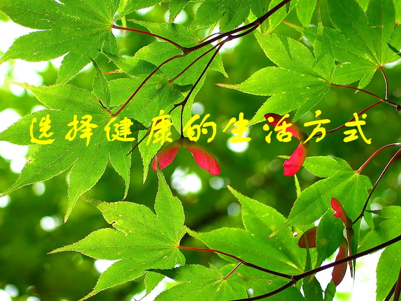 第四节--选择健康生活方式.ppt_第1页