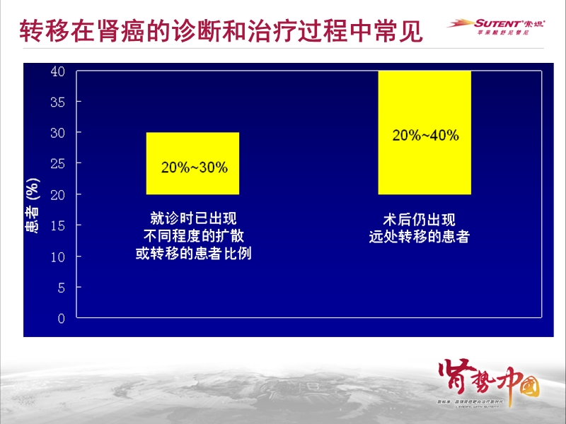 晚期肾癌新视点.ppt_第3页