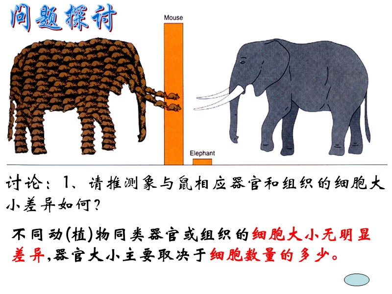 细胞的增殖.ppt_第2页