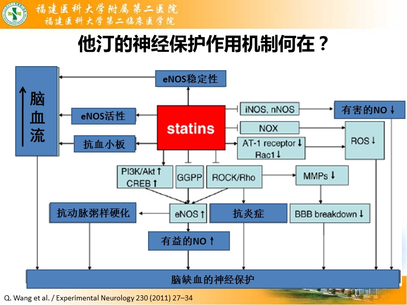 卒中指南_关于他汀的建议及证据来源.ppt_第3页