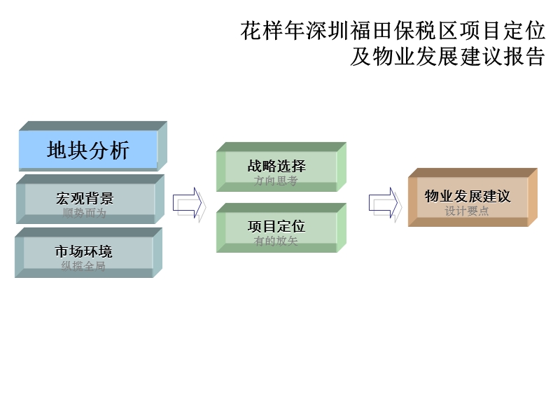 2009深圳福田保税区项目定位及物业发展建议116p.ppt_第2页