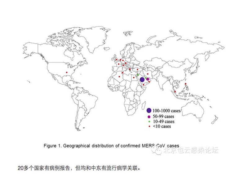 中东呼吸综合征诊疗方案.ppt_第3页