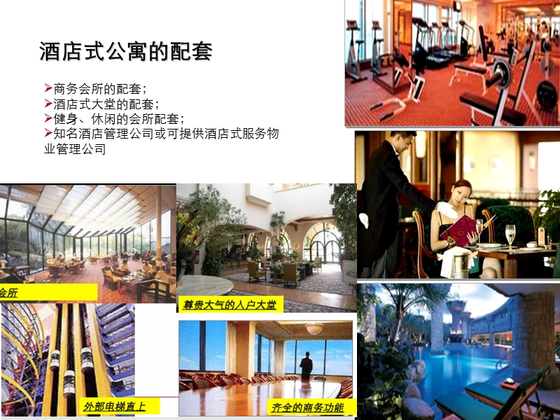 酒店式公寓研究及规划设计建议.ppt_第1页