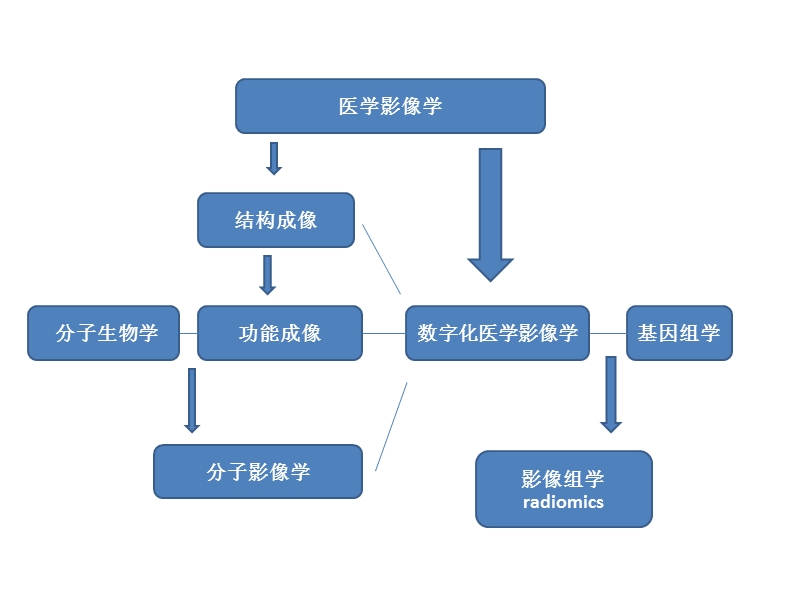 影像组学的临床应用研究.pptx_第3页