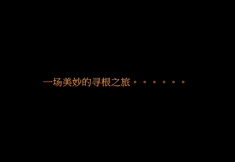 2010长沙中房华厦城项目概念定位报告.ppt_第3页