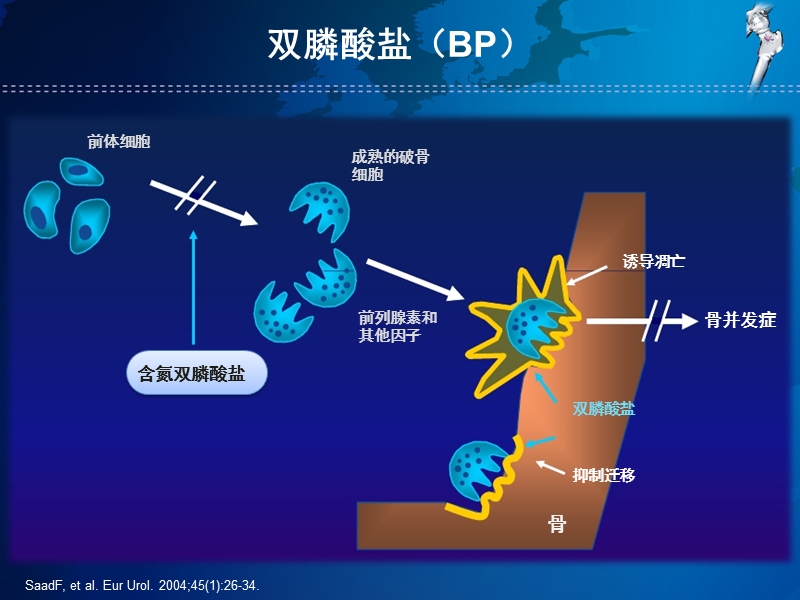 双膦酸盐治疗推荐.pptx_第3页