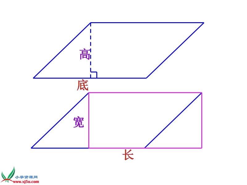 （西师大版）五年级数学上册课件 三角形的面积.ppt_第3页