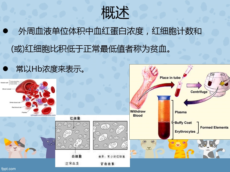 改善营养性贫血功能食品的开发.ppt_第3页