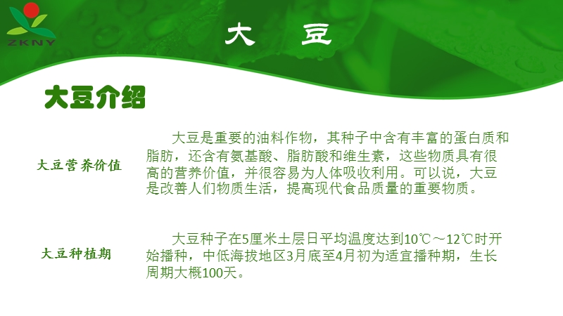 大豆生长周期、需肥、缺素及病虫害防治.ppt_第3页