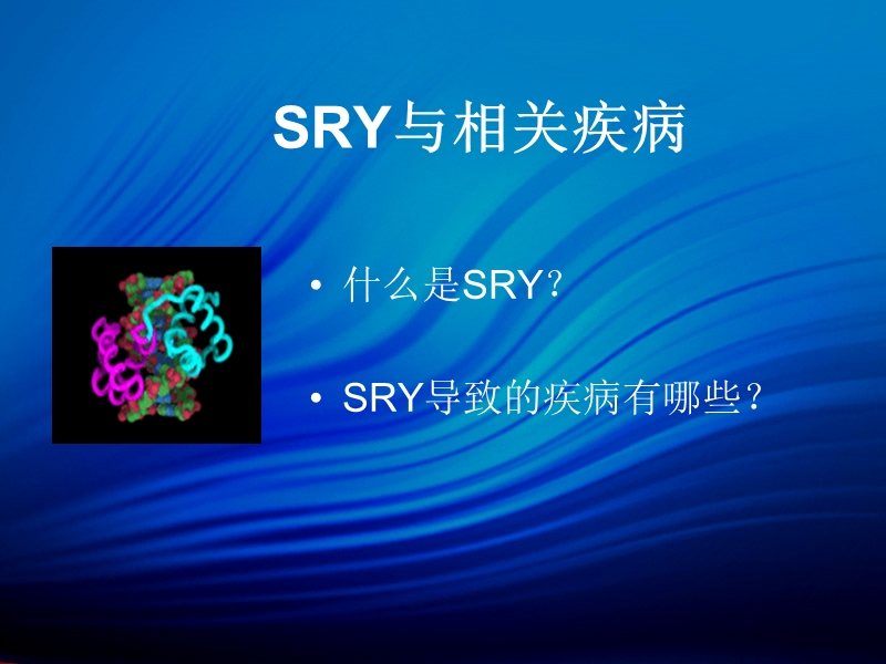 sry与相关疾病.ppt_第2页