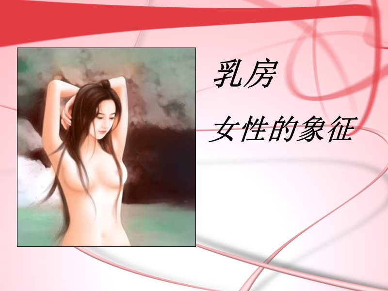 胸部专业知识.ppt_第3页