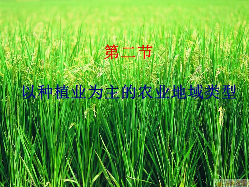 (3.2--)---以种植业为主的农业00地域类型.ppt_第1页