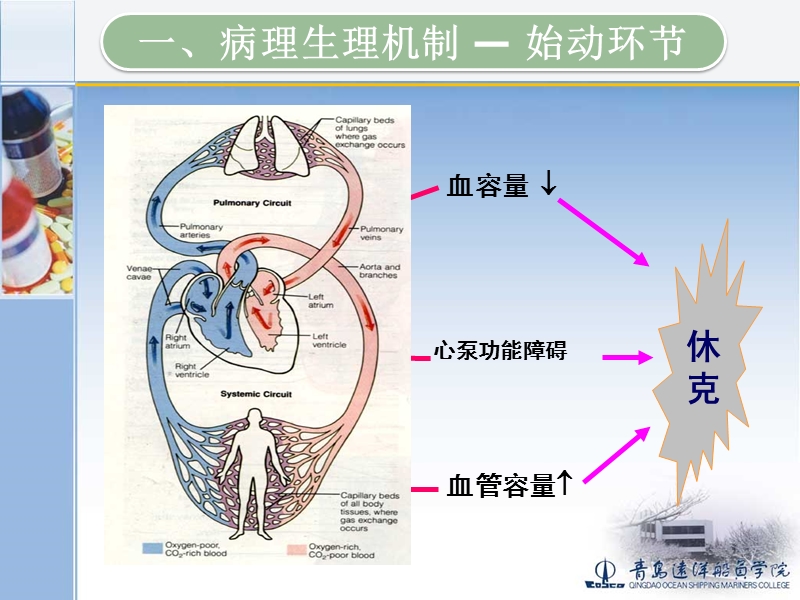 基本急救3-休克冠心病.ppt_第2页